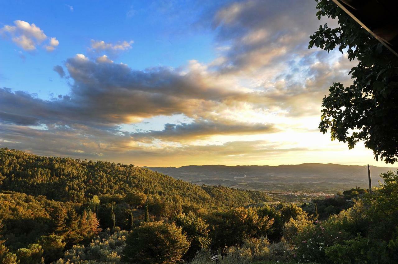 Agriturismo Borgo Mocale Castelfranco di Sopra Ngoại thất bức ảnh